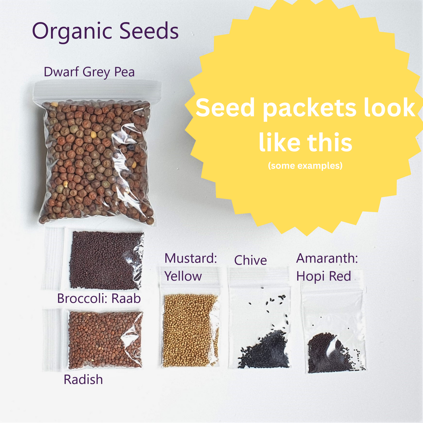 Peas Microgreen Seeds (Great for beginners!)