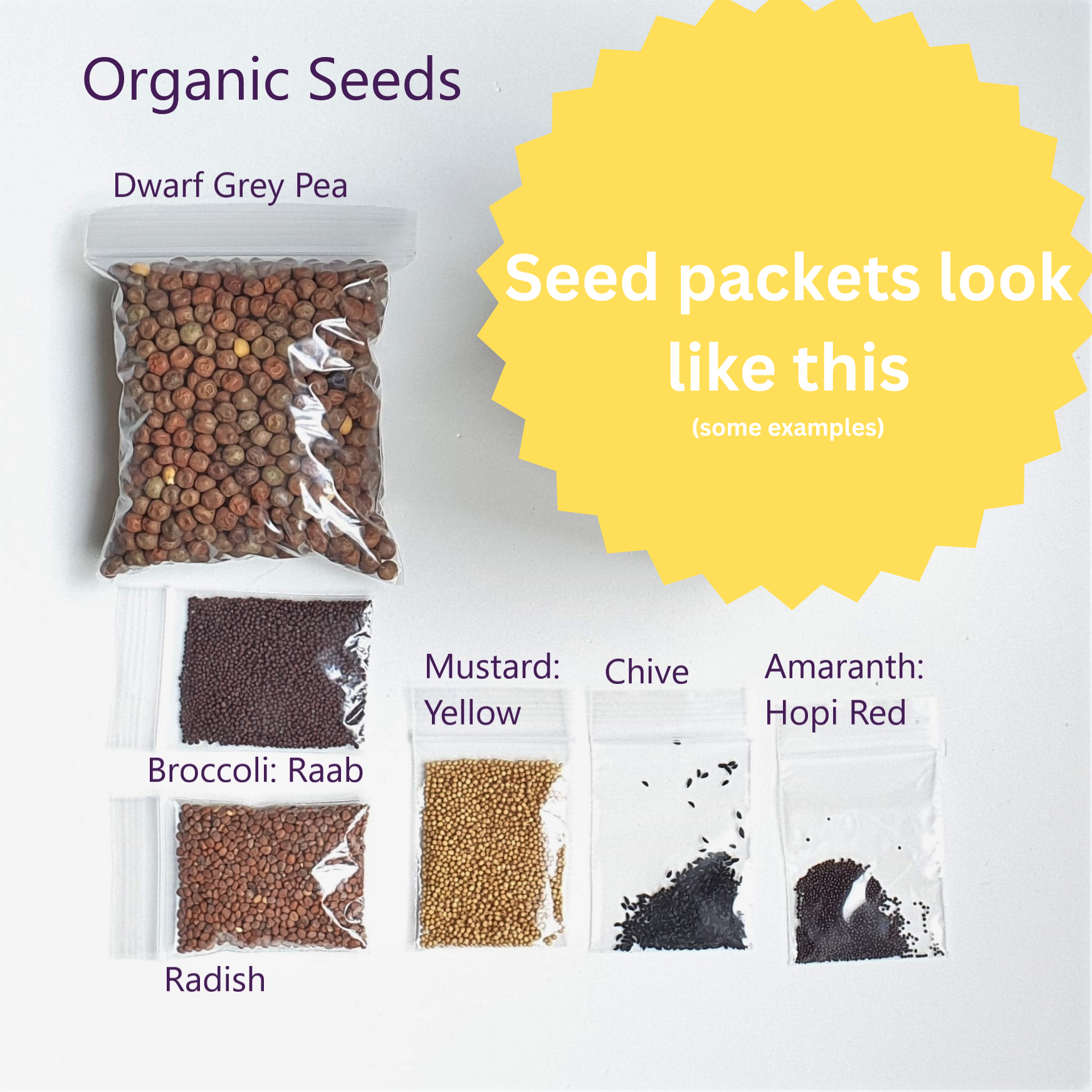 EcoGrow Seed Starting Kit (5-Seed Kit) – Lively